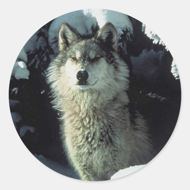 Pegatina Redonda Wolf (Anverso)