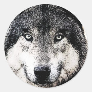 Pegatina Redonda Wolf Eyes