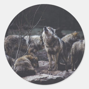Pegatina Redonda Wolf Pack