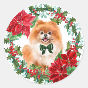 Pegatina Redonda Wreath de feriado de poinsettia holly de Pomerania