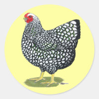 Wyandotte: Hen de color plateado