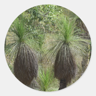 PEGATINA REDONDA XANTHORRHOEA GRASS TREE BUSH PLANTA AUSTRALIA