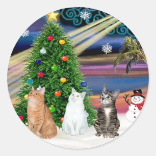 Pegatina Redonda Xmas Magic - 3 gatos (2 tabbys - blanco)