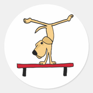 Pegatina Redonda XX- Labrador amarillo en equilibrio Personalizado