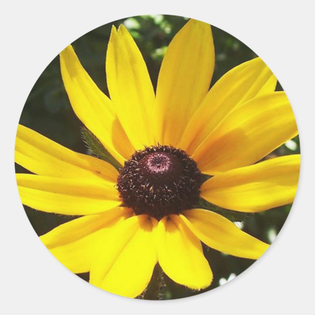 Pegatina Redonda Yellow Daisy (Anverso)