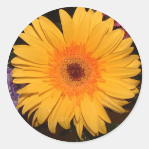 Pegatina Redonda Yellow Gerber Daisy