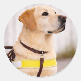 Pegatina Redonda Yellow Labrador Guide Dog Graduation Envelope Seal
