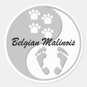 Pegatina Redonda yin yang Malinois belga