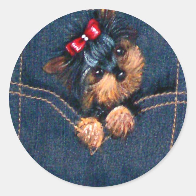 Pegatina Redonda Yorkie Puppy en Pocket (Anverso)