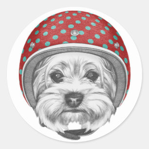 Pegatina Redonda Yorkshire Terrier Daredevil