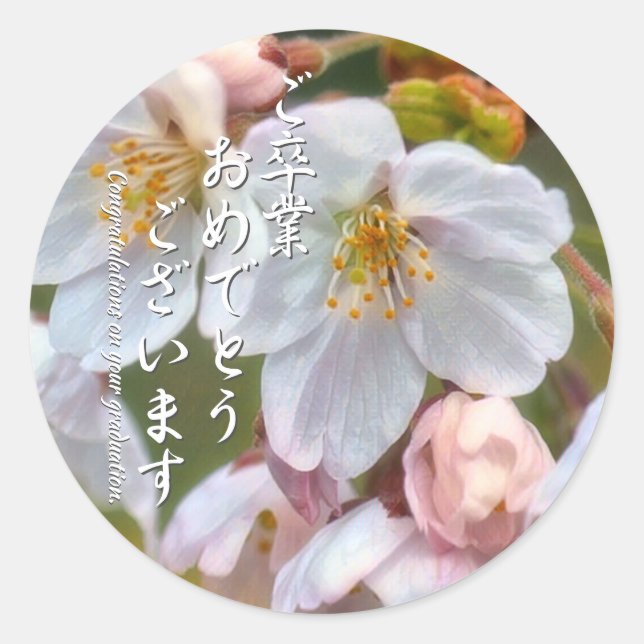Pegatina Redonda Yoshino Cherry ラウンドシール (Anverso)