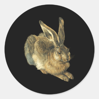 Pegatina Redonda Young Hare Feldhase De Albrecht Durer