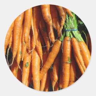 Pegatina Redonda Zanahorias Naranjas de Cosecha Fresca de la Granja