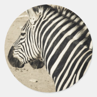 Pegatina Redonda Zebra