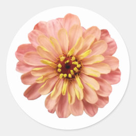 Pegatina Redonda Zinnias Floral Flor Naturaleza Fotografía