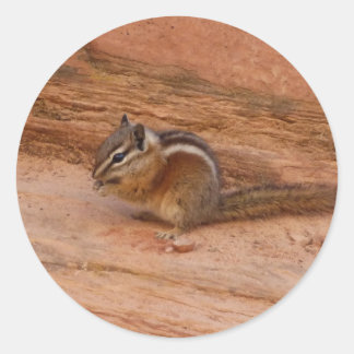 Pegatina Redonda Zion Chipmunk sobre las rocas rojas