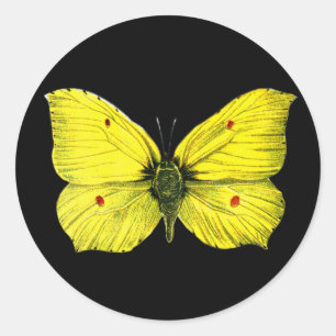 Pegatina Redonda Zitronenfalter