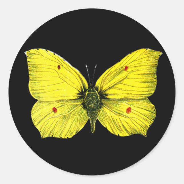Pegatina Redonda Zitronenfalter (Anverso)