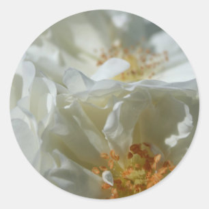 Pegatina redondo blanco dulce 1