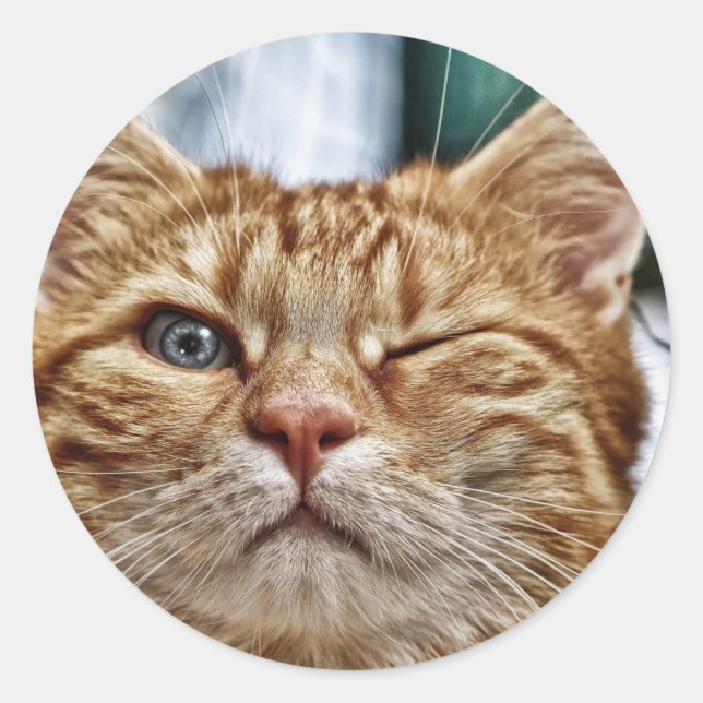 Pegatina redondo clásico (Anverso)