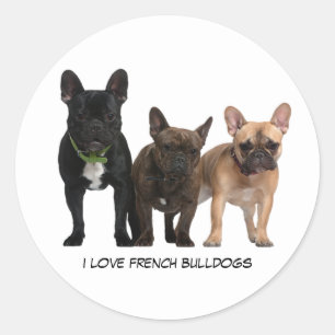 pegatina redondo clásico de Bulldoges franceses de