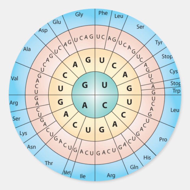 Pegatina redondo clásico de código genético (Anverso)