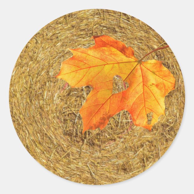 Pegatina redondo clásico de la cosecha del amor (Anverso)