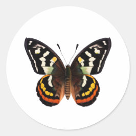 Pegatina redondo clásico de mariposa