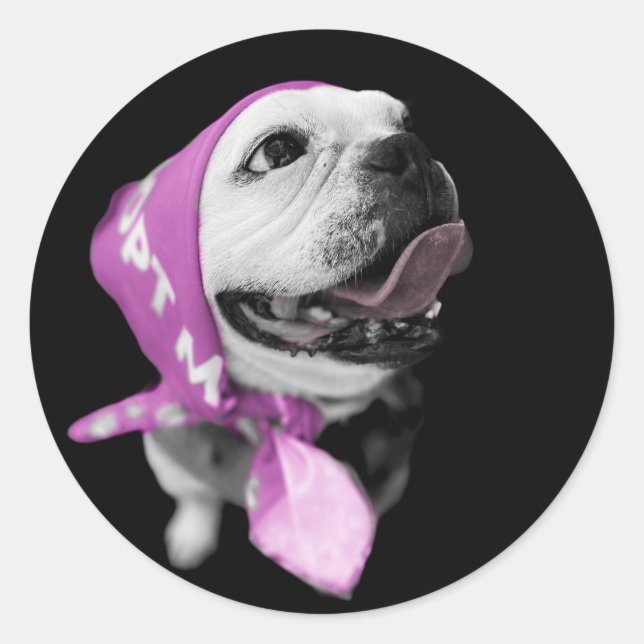 Pegatina redondo clásico del perro de rescate (Anverso)