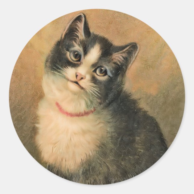 Pegatina redondo de gato negro y blanco (Anverso)