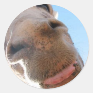 Pegatina redondo - Spike