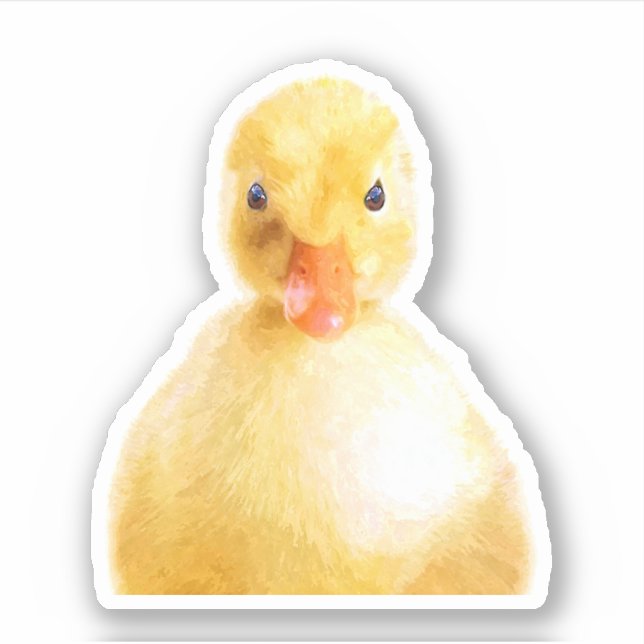 Pegatina Retrato Cute Duckling (Anverso)