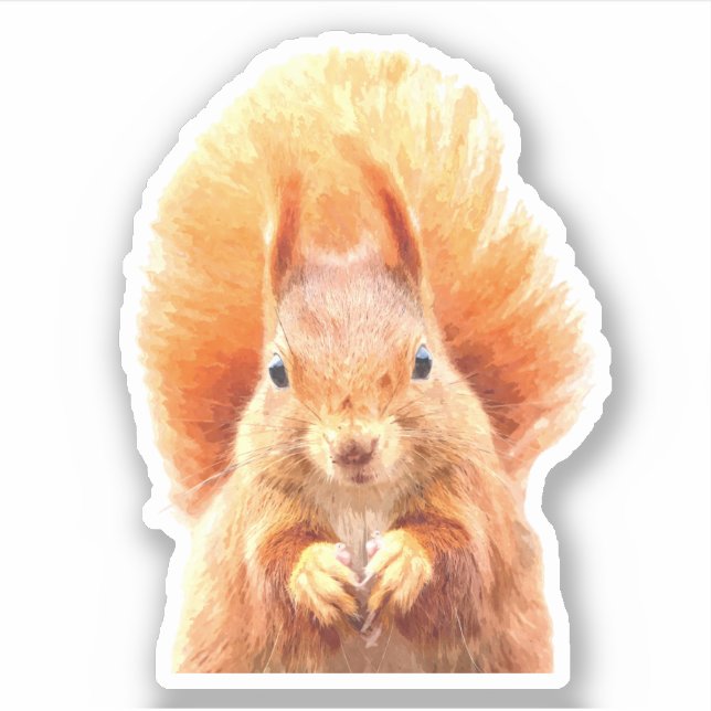 Pegatina Retrato de ardilla corta (Anverso)