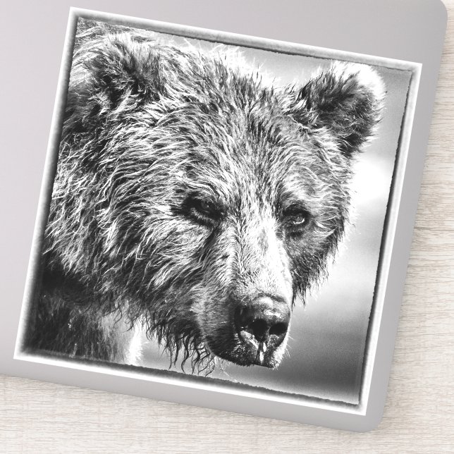 Pegatina Retrato de oso pardo (Detalle)