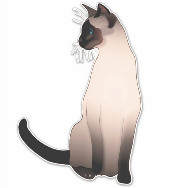 Pegatina Retrato de un gato siamés de punto de foco (Anverso)