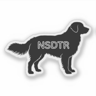 Pegatina Retriever de Tolling de Nueva Escocia