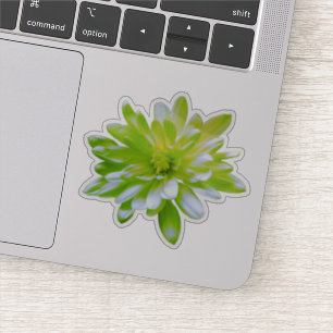 Pegatina Retro de flor floral amarillo verde verde azulado 