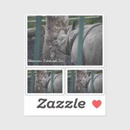 Pegatina Rinocerontes unicornios en el zoológico de Edimbur