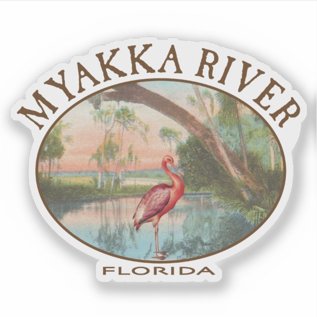 Pegatina Río Myakka en Florida con la cucharada de Roseate (Anverso)
