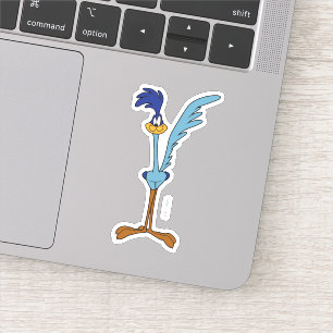 Pegatina ROAD RUNNER™ en color