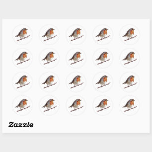 Pegatina Robin Bird (Erithacus Rubecula)