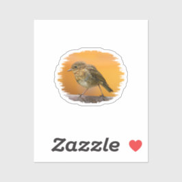 Pegatina Robin De Bebé En Una Rama De Árbol