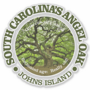 Pegatina Roble del ángel