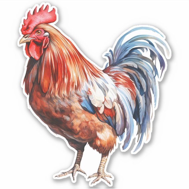 Pegatina Rooster (Anverso)