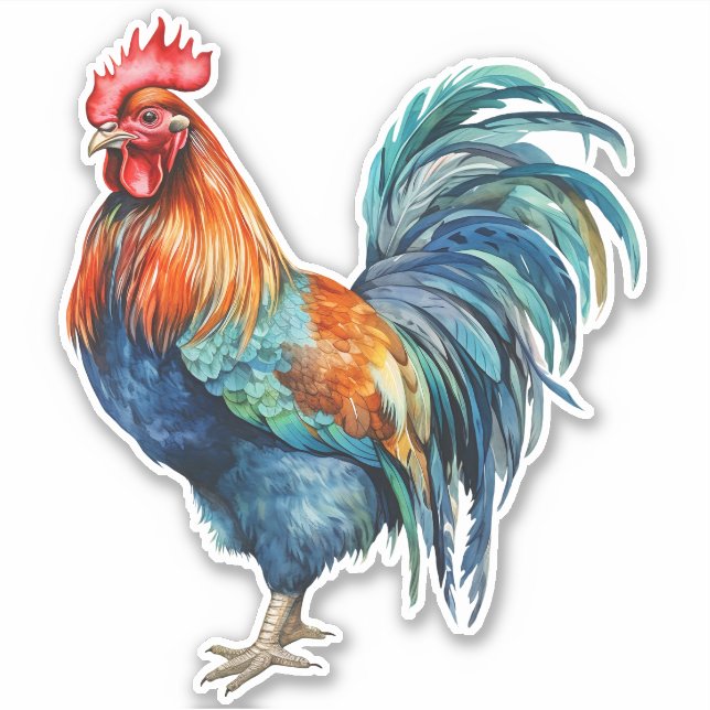 Pegatina Rooster (Anverso)