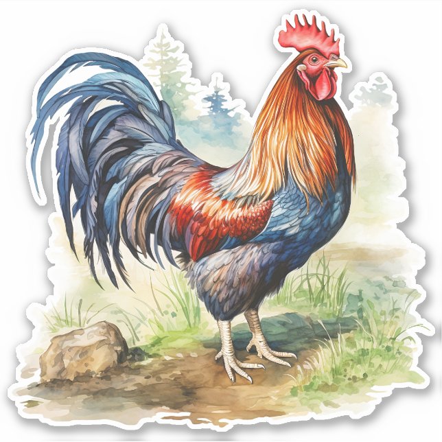 Pegatina Rooster (Anverso)