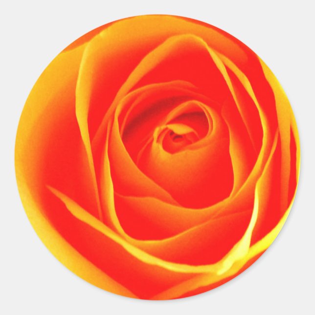 Pegatina rosa amarillo/rojo (Anverso)
