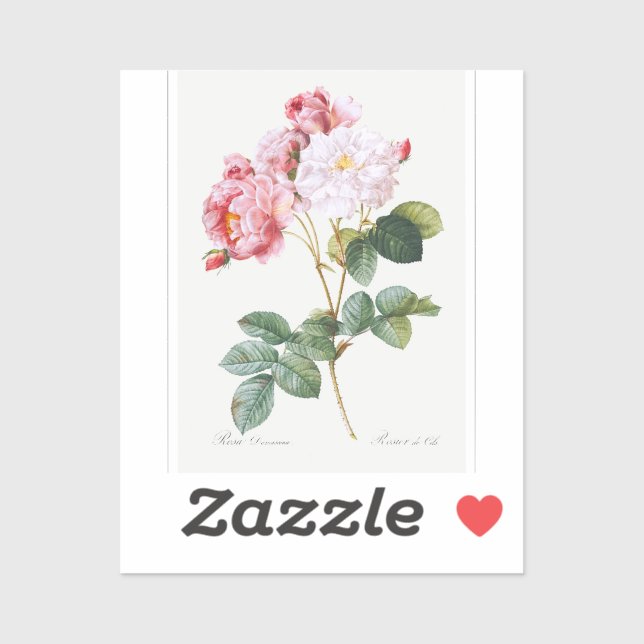 Pegatina Rosa Damascena (Hoja)