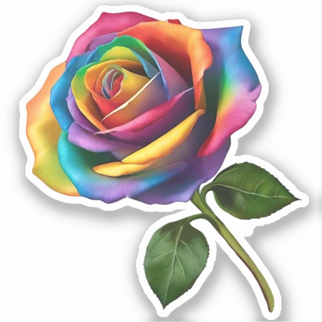 Pegatina Rosa de arcoiris de largo tamaño- (Anverso)