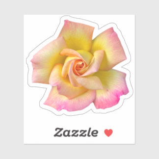 Pegatina Rosa de paz amarillo rosado espiral